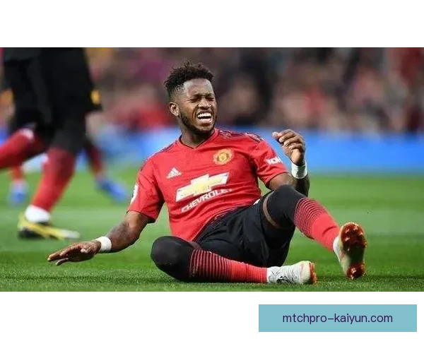 英超富勒姆转会窗表现分析，球队寻求增强竞争力